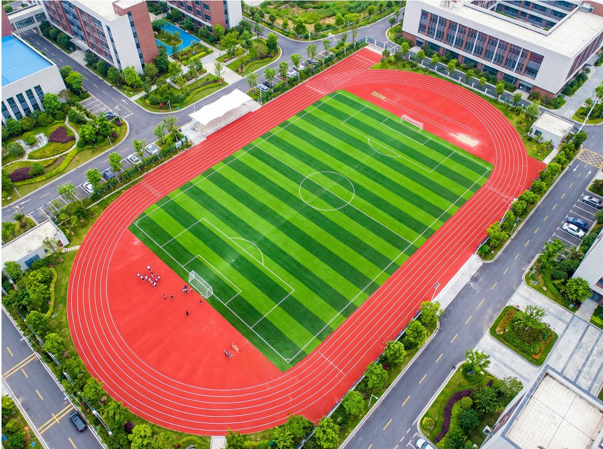 保定市全塑型塑胶跑道学校塑胶跑道 - 价格
